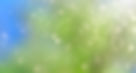 background-3181283_1920.jpg