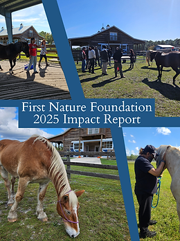 2025 Impact Report.png