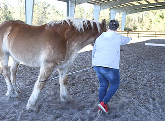 Jan2022 Horseplay Photo 3_edited.jpg