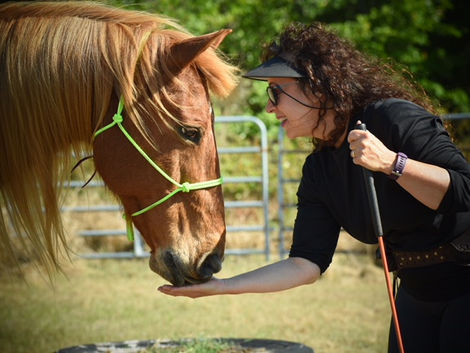 Diving into Conflict - A Happy Story