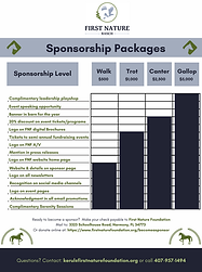 FNF Corporate Sponsorship Flyer .png