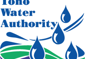 Toho Logo (1).png