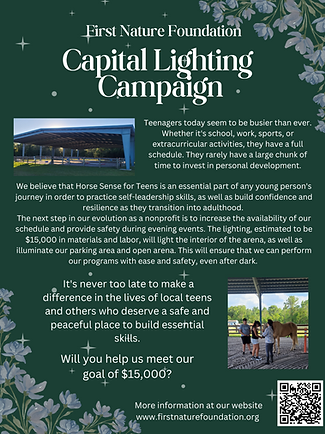 capital lighting campaign.png