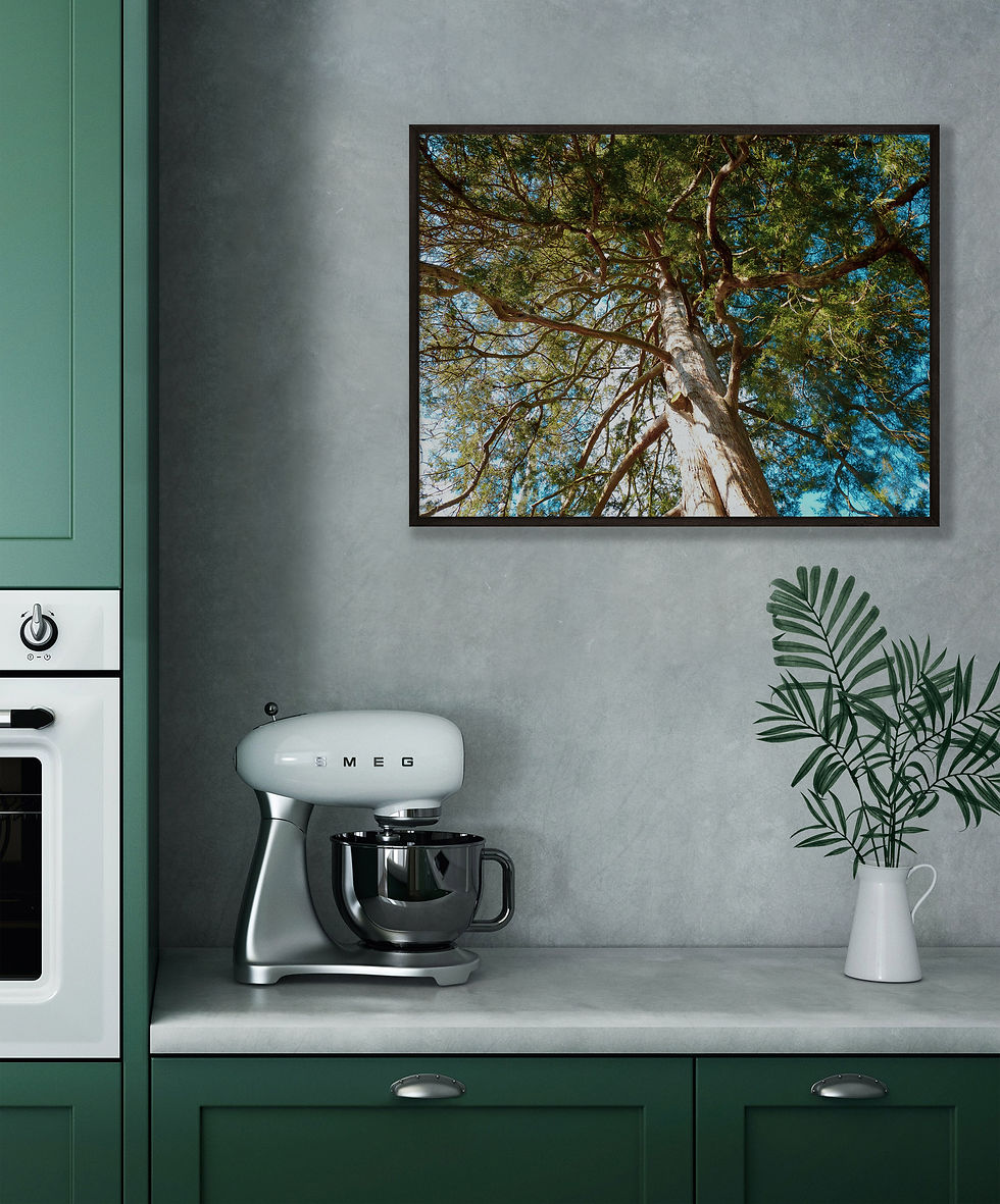 Thumbnail: Tree Branches Print