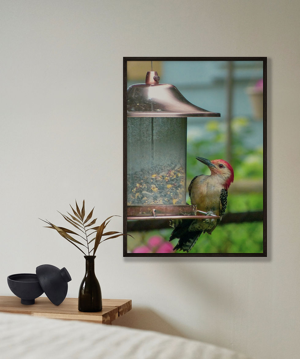 Thumbnail: Woodpecker Print