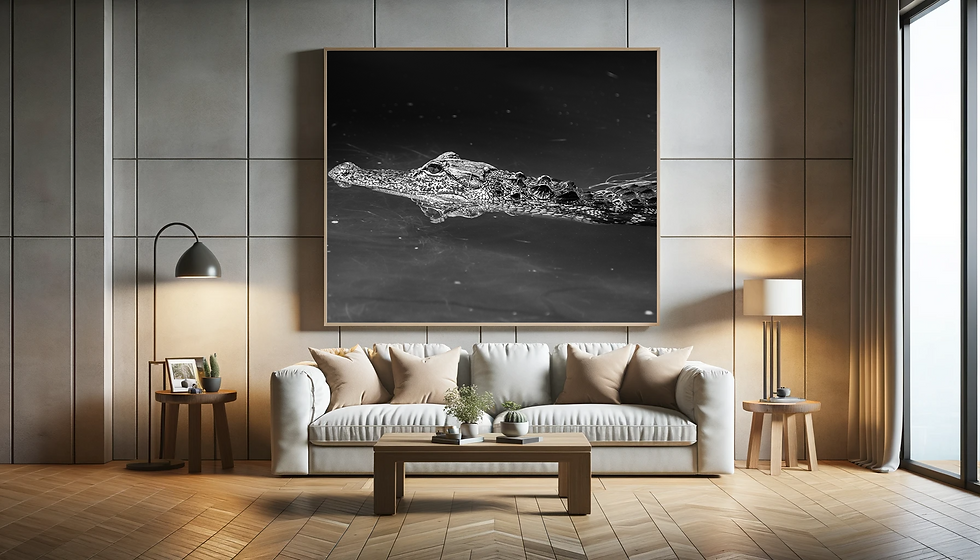 Thumbnail: B&W Small Gator in the Sunlight Print