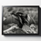Thumbnail: BW Anhinga Preening Print