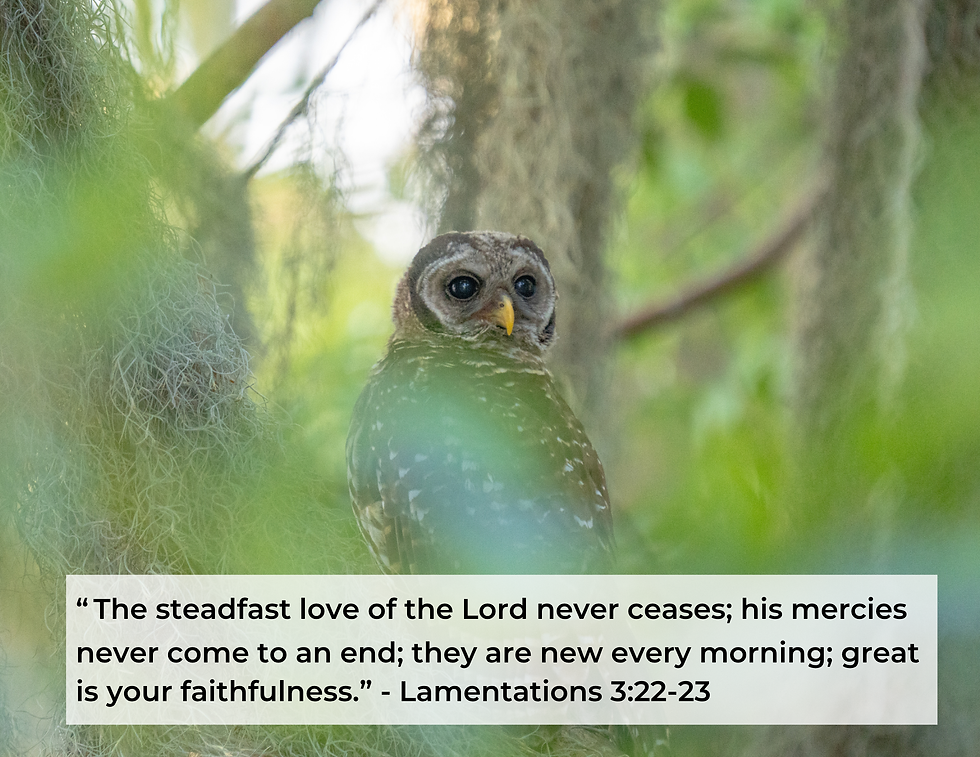 Thumbnail: 2026 Birds of Florida Wall Calendar with Bible Verses