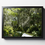 Thumbnail: Hilton Head Island Green Forest Trees Print