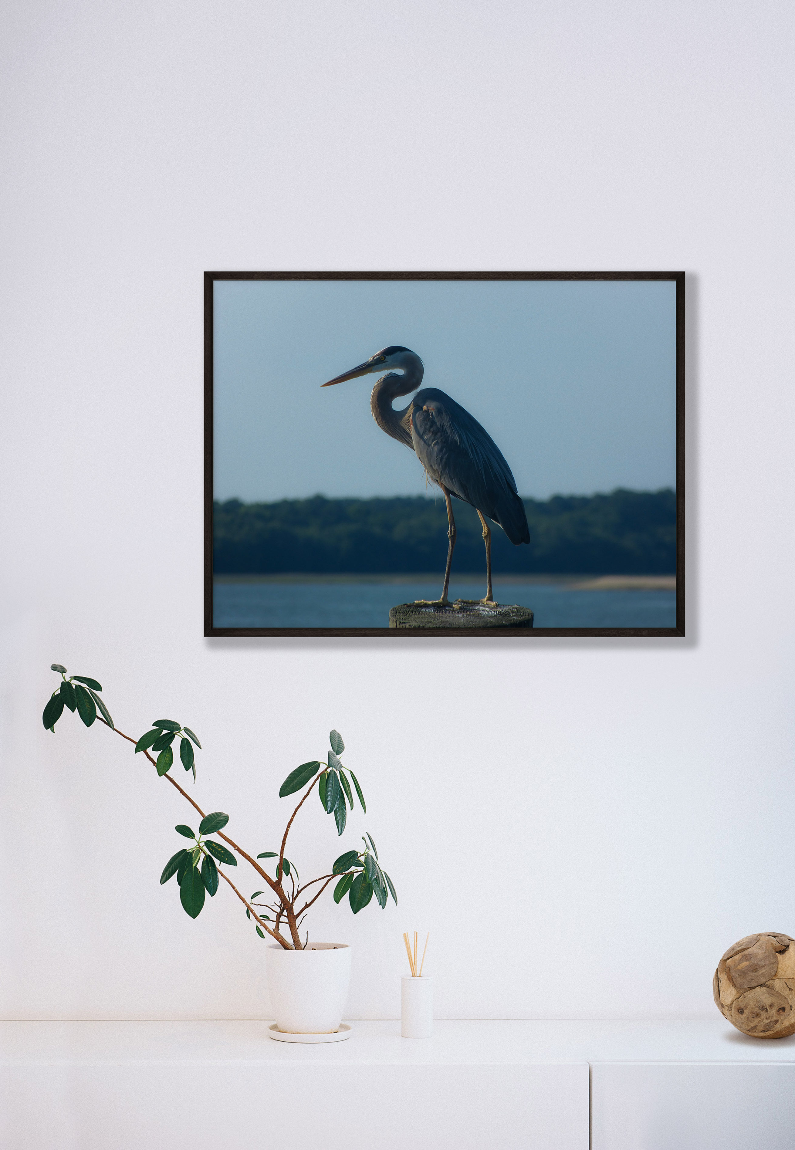 Blue Heron on Post Print