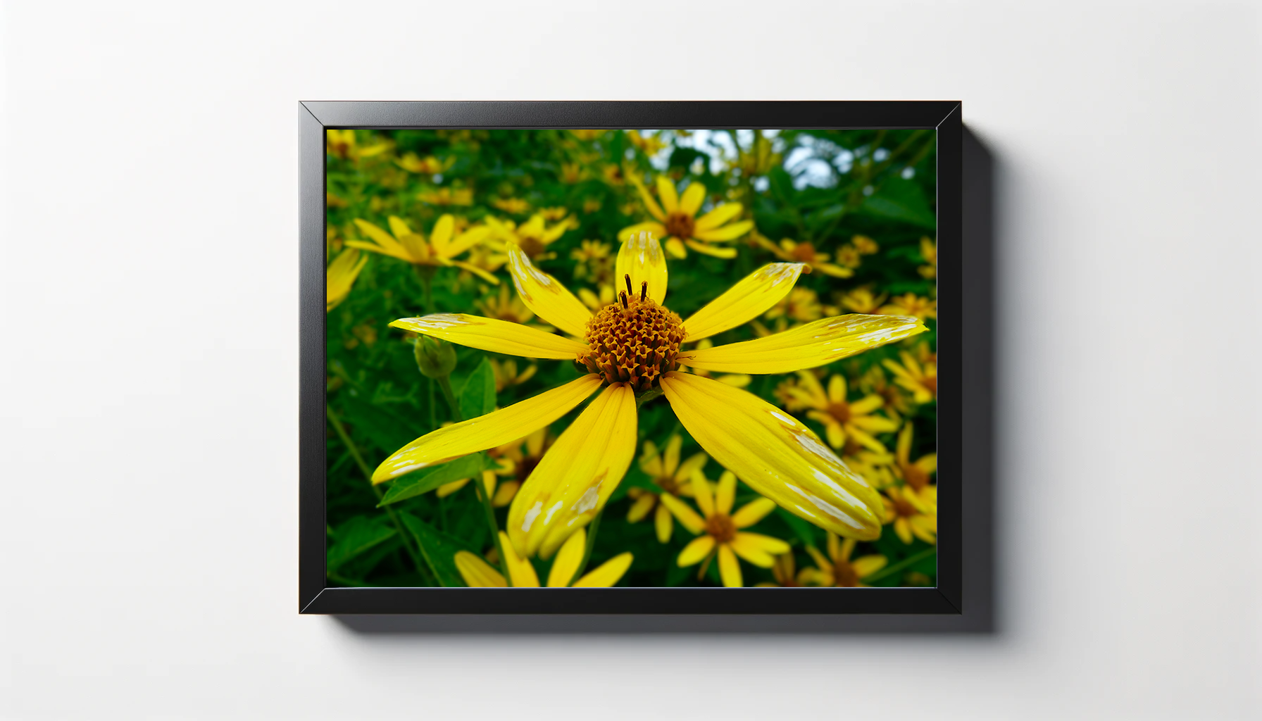 Bright Yellow Flower Print