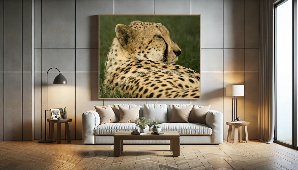 Thumbnail: Cheetah Resting Print