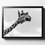 Thumbnail: B&W Giraffe Head Print