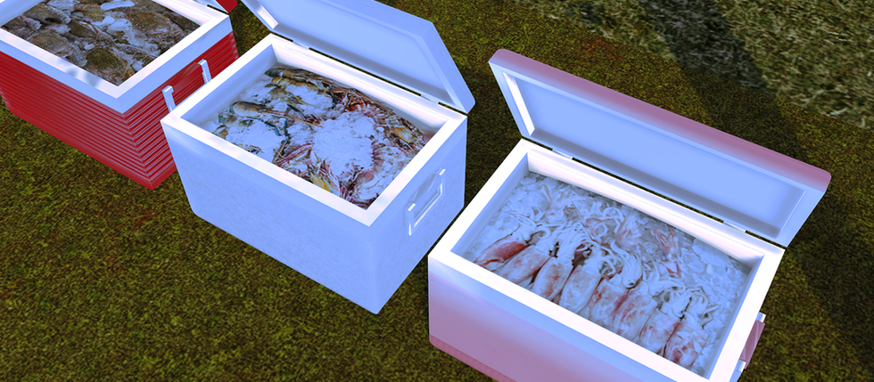 Avika TS4 Picnic Seafood Cooler Ver. 1