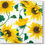Thumbnail: Sunflowers On White Cocktail Paper Napkins