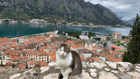 Montenegro and Albania