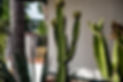 KL2B6750.jpg