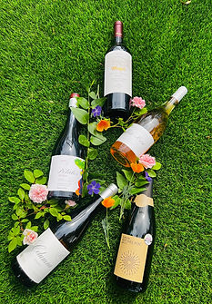 grass wine.jpg