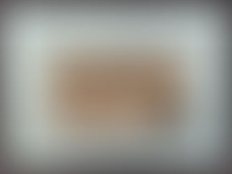 WIFFC Sponsors Pass Lake Flybrary