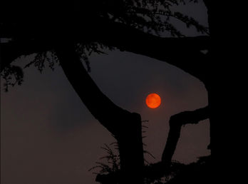 End of the day 8.jpg