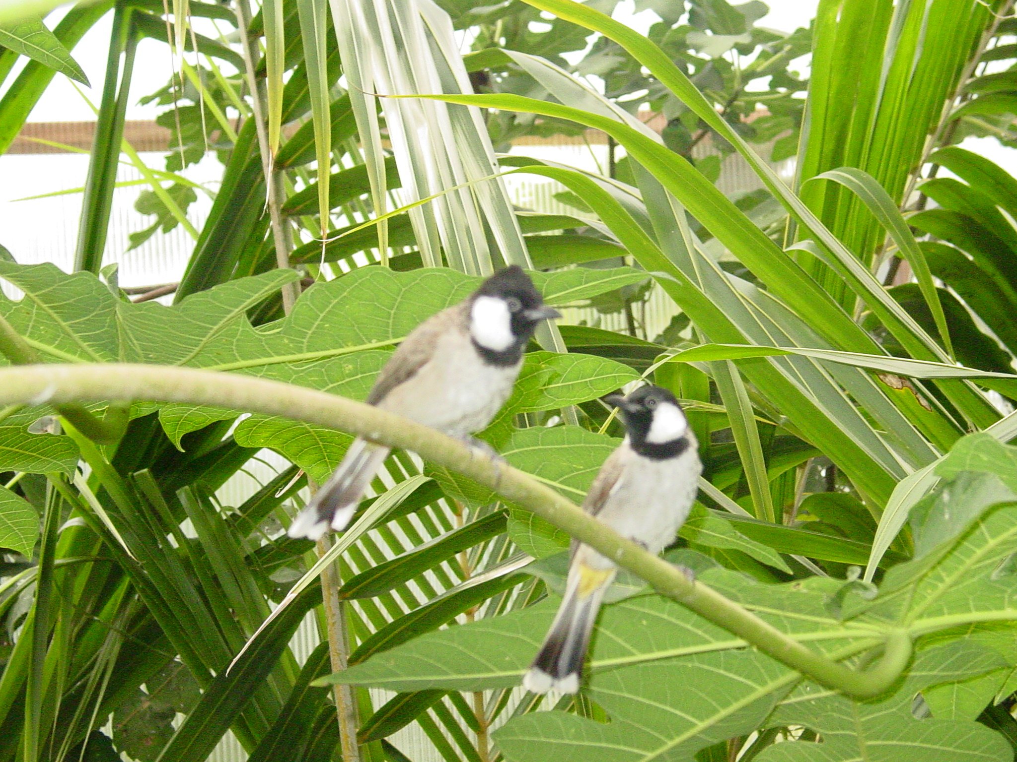 DSC01800