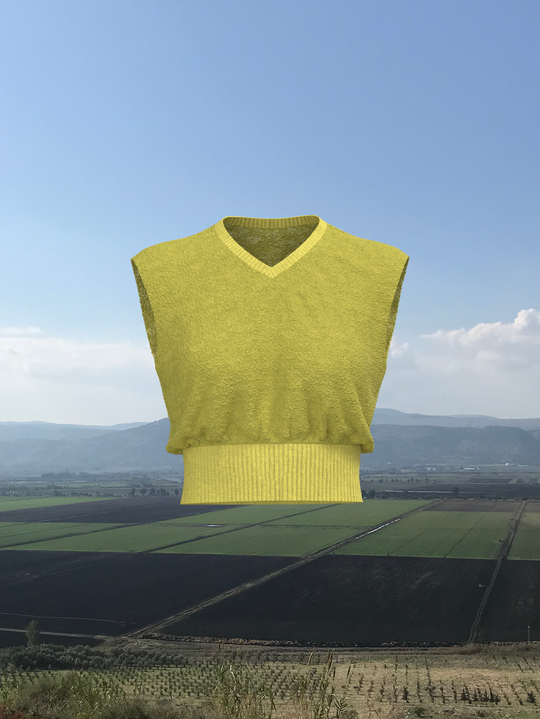 2yellow.png