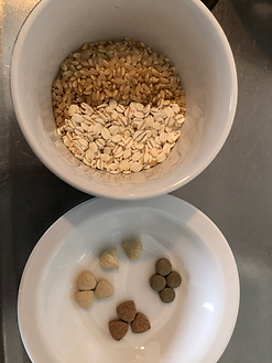 参鶏湯隠し味(薬膳).HEIC