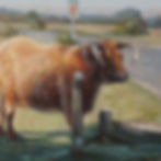 Studio Oil Paintings