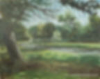 42 Southampton common duck pond area 2021