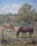 Two horses with burnt trees in the New Forest 2022