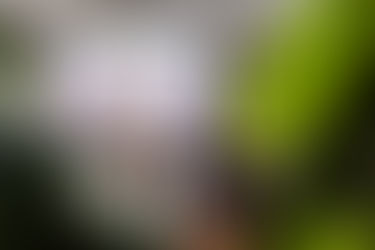 Comment choisir le bon photographe corporate pour votre entreprise ?