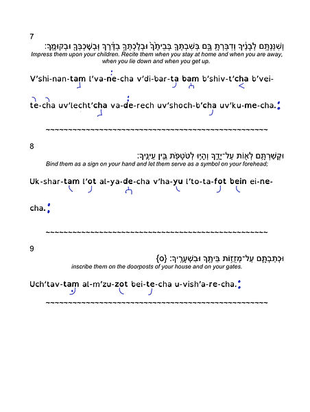 F7435775-2AD2-4E76-A7B4-2F2AD1B04341.jpeg