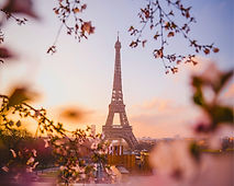 Europe Premium Group Tour 2026 _ Magical Europe.jpg
