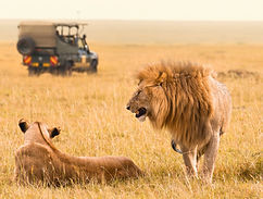 Tripoly Kenya Group Tour.jpg