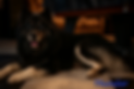 file_00000000c5f461f9b51fecaf0afd1ed3.png