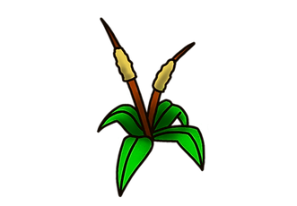 IMG_0393.PNG