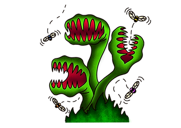 IMG_0415.PNG