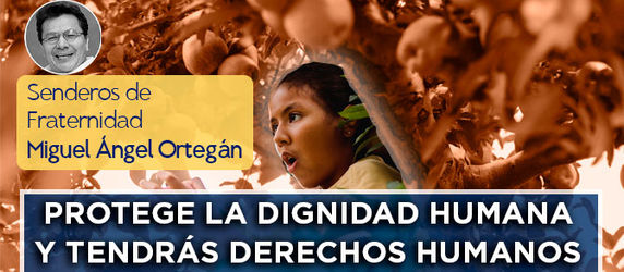 SENDEROS DE FRATERNIDAD #29