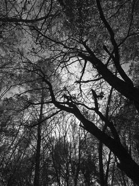 10 Théâtre d'ombres série 2.jpg