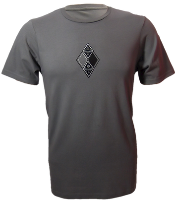 DSCF3244 - Men's Designer T (Gray) With