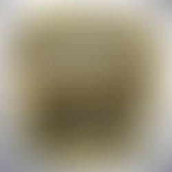 Win 2 VIP Tickets to the Shropshire County Show - Plus Competition Terms & Conditions