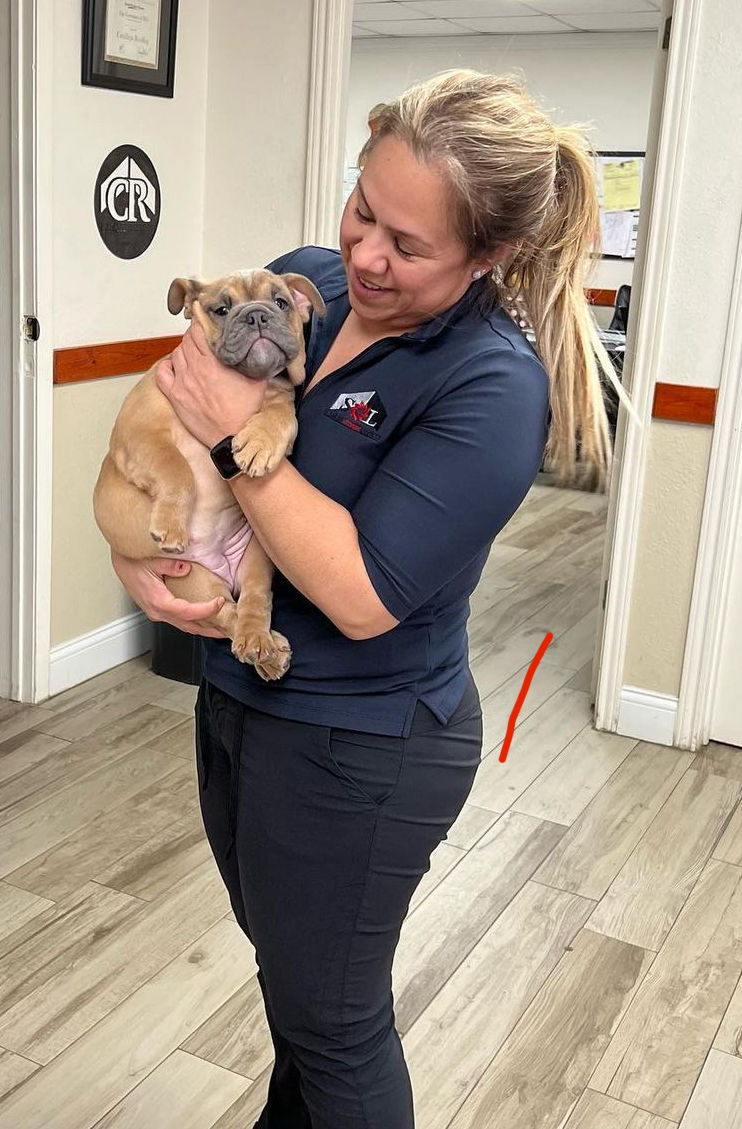 Bulldog pup off to her furever home