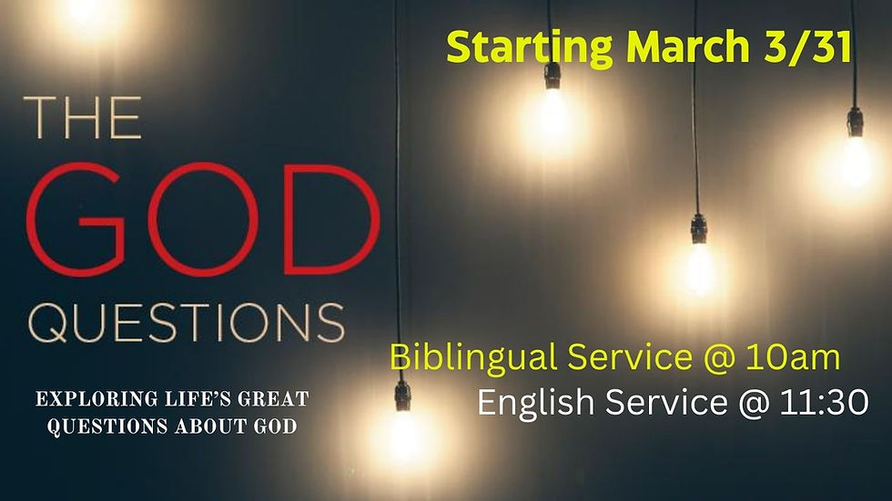 The God Questions Book Study