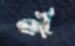 20221018_152532 (2)_edited_edited