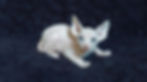 20221018_152309 (2)_edited