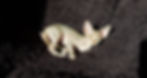 20220509_180029