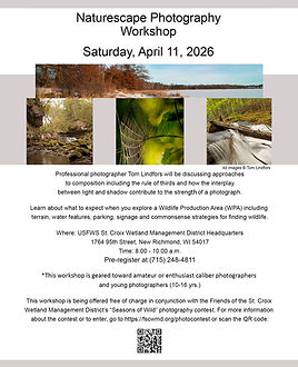 Naturescape Poster final copy.jpg