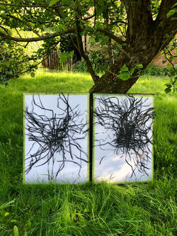 'Perambulatory Drawings at No12' (18.06 on 27.05.24)