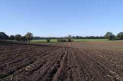 Lambert's Farm 1 (2014)