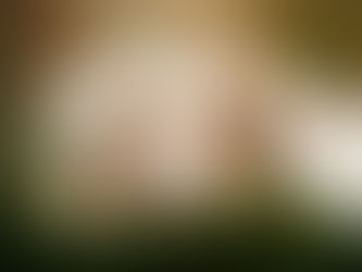 Wat als mijn hond niet los kan tijdens de fotoshoot?